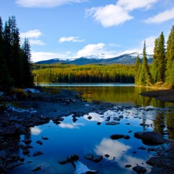Shallow Bay